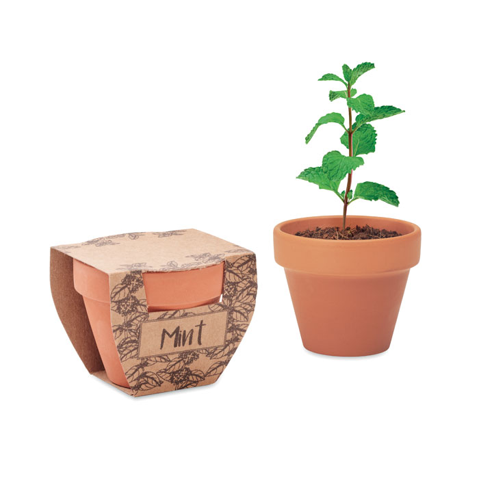 MINT POT – Vaso in terracotta con semi di menta