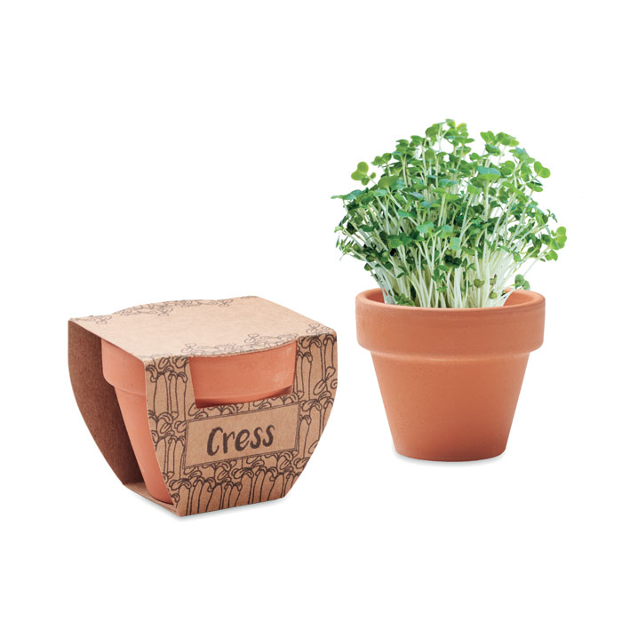 CRESS POT – Vaso in terracotta con semi di crescione