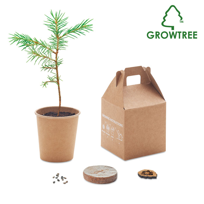 GROWTREE™ – Pine tree seed set made in the EU