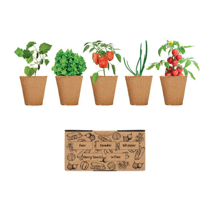 SALAD – Vegetable growing kit with 5 seed types