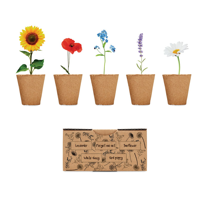 FLOWERS – Kit per coltivare fiori con terra inclusa