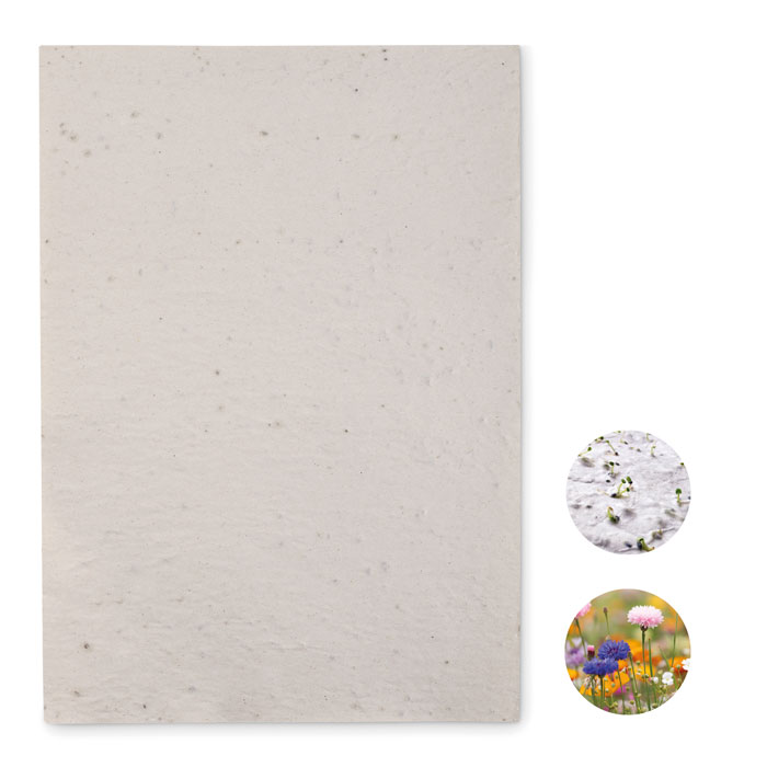 ASIDI – Foglio A4 in carta riciclata con semi