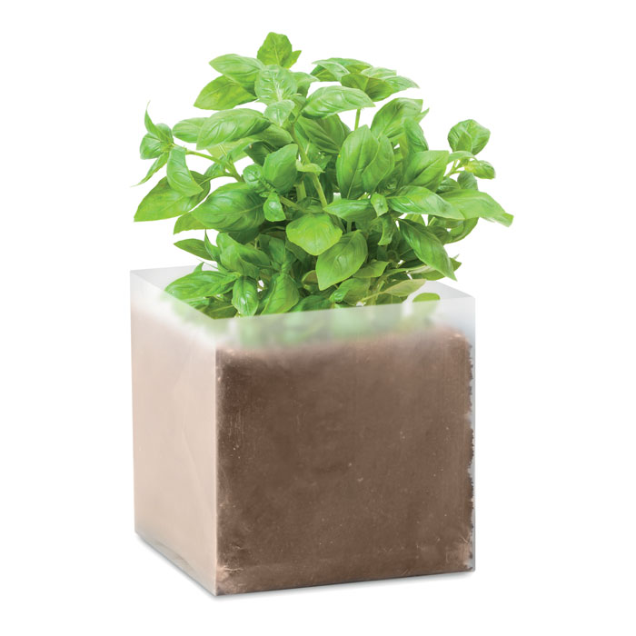 BASIL – Sacchetto di semi da coltivare con acqua