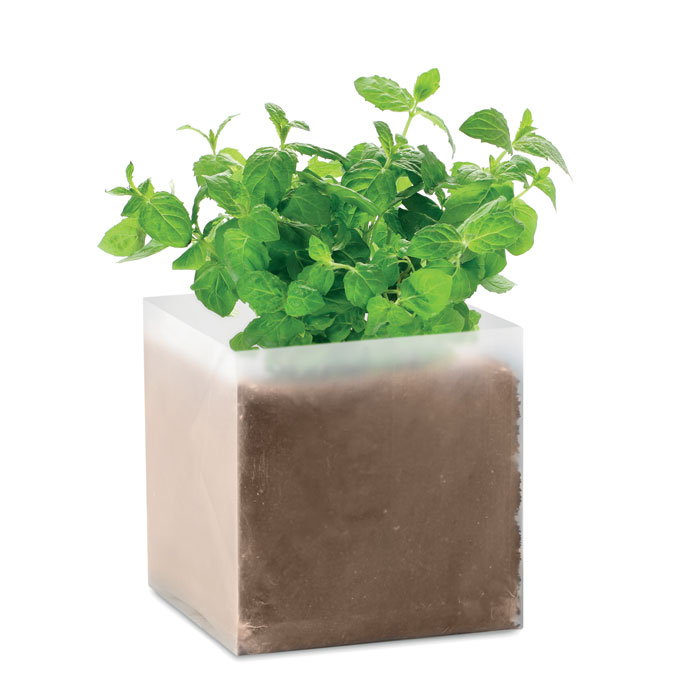 MINT – Sacchetto con semi di menta da coltivare
